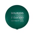 Bourjois Intense nijansa 05